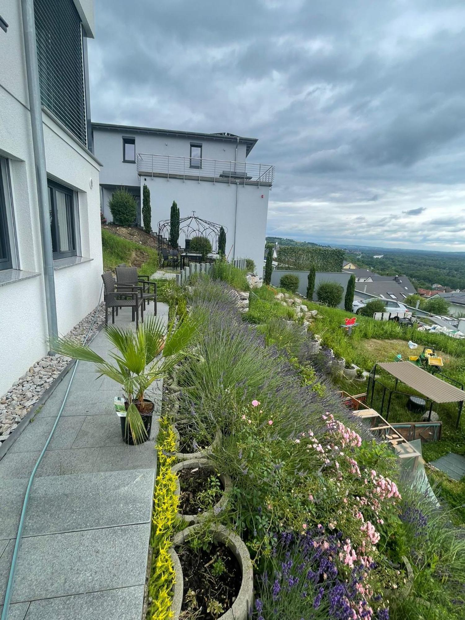 Apartmán Vogesenblick Bad Bellingen Exteriér fotografie