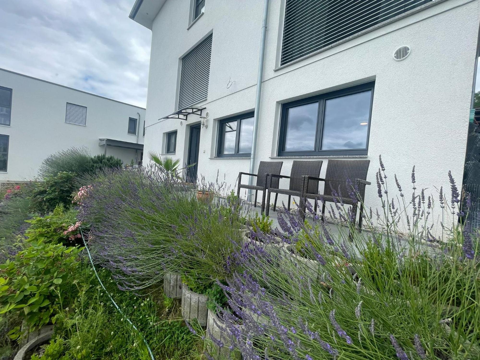 Apartmán Vogesenblick Bad Bellingen Exteriér fotografie