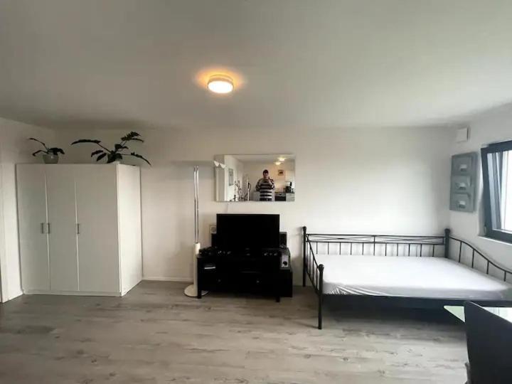 Apartmán Vogesenblick Bad Bellingen Exteriér fotografie
