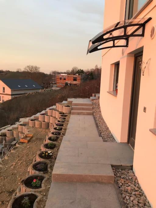 Apartmán Vogesenblick Bad Bellingen Exteriér fotografie