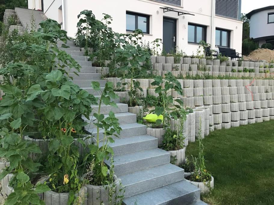 Apartmán Vogesenblick Bad Bellingen Exteriér fotografie